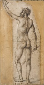 Achteraanzicht van een Staande Man door Lucas Cranach the Elder